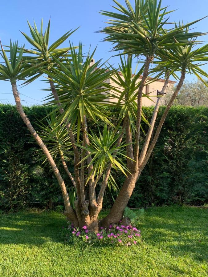 Elimia Piscine Privee & Chauffee Homestay Antibes